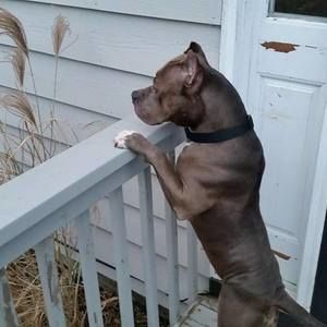 Meet your Posher, Paul